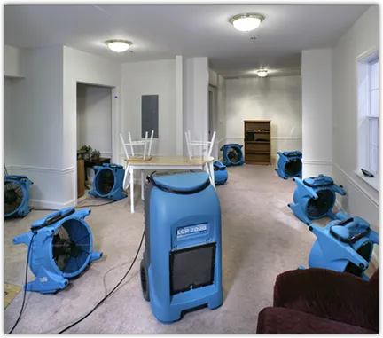 Contents Cleaning & Restoration in Madison, WI